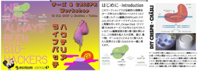 Cheese CRISPR booklet jap page1 2.jpg