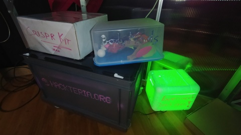 Hackteria bench boxes.jpg