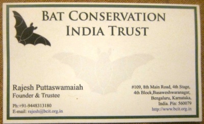 Bangalore bats.jpg