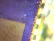the combination of living organisms and electronix. tardigrade on a CMOS chip of a webcam