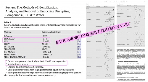 Estrogenicityinvivo.jpg